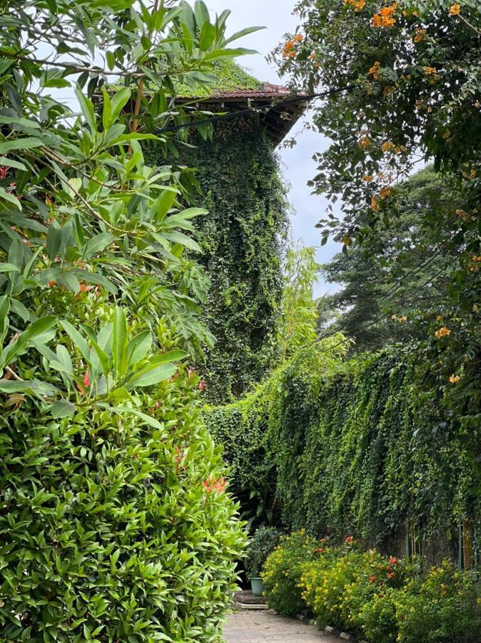 Udf Nature Villa Kandy Bagian luar foto