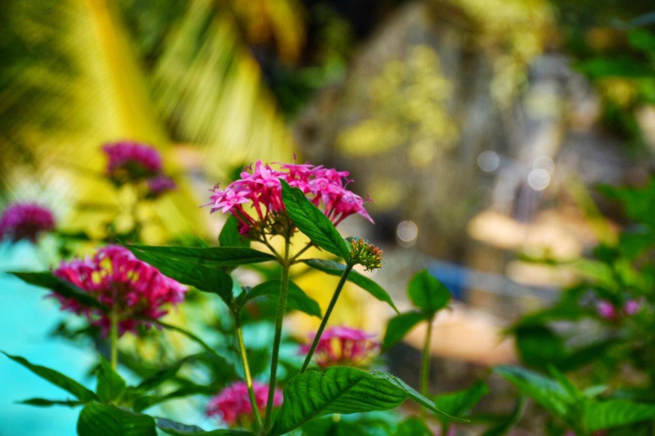 Udf Nature Villa Kandy Bagian luar foto